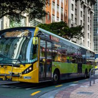 New Zealand thay đổi 4 quy định giao thông từ tháng 10/2026