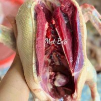 Mẹt Bếp nhận đơn ngan cho khách thích ăn gì thì mạnh dạn oder nhé .