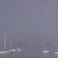 Sương mù làm tê liệt hàng chục chuyến bay tại Auckland