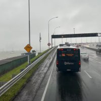 Gió lớn 95km/h càn quét Auckland: Nguy cơ phong tỏa cầu cảng