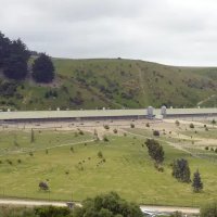 Cúm Gia Cầm H5N1 Chính Thức Xâm Nhập New Zealand: Những Điều Bạn Cần Biết