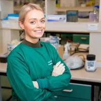 Cúm Gia Cầm H5N1 Chính Thức Xâm Nhập New Zealand: Những Điều Bạn Cần Biết