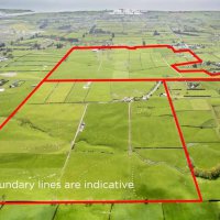 Auckland chi 16 triệu NZD mua 100ha đất làm nghĩa trang bất chấp sự phản đối